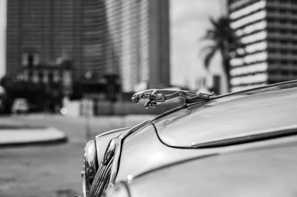 20Бетс Казино Android/iOS приложение